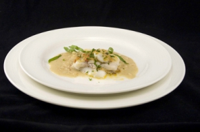 voorgerecht - Tompouce van snoekbaars met Noilly-Prat saus