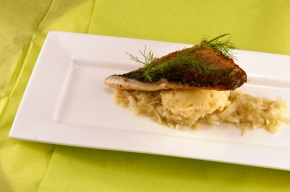tussengerecht - Zeebaars met gemarineerde venkel , venkelpuree en uienmoes