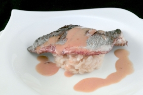 voorgerecht - Gebakken doradefilet op een bedje van risotto met een saus van schaaldieren