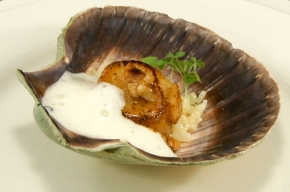 voorgerecht - Coquilles met knolselderij, hazelnoot en pecorinoschuim